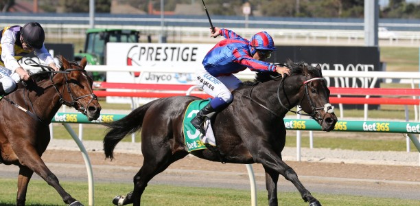 Prince Of Arran given Melbourne Cup penalty