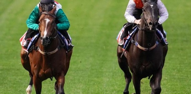 Williams keeps strength for Cox Plate ride