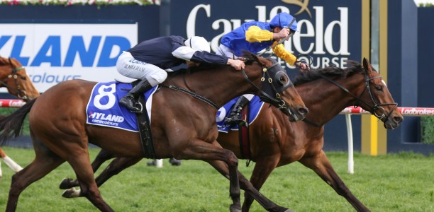 Brad and Bart chasing fairy tail Cox Plate win