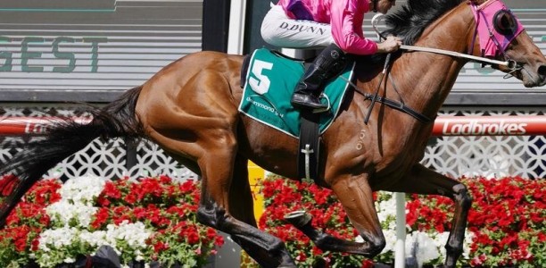 Soul Patch on Derby path after Valley win
