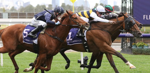 Sale Cup Field – 2019