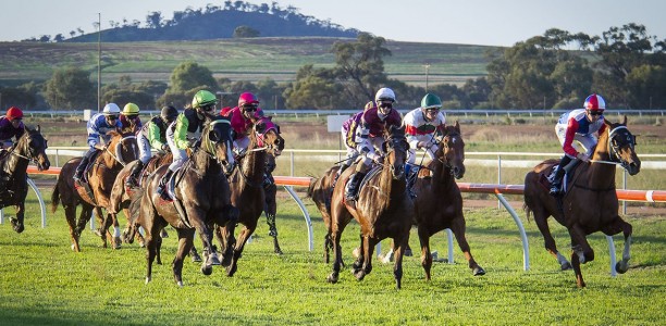 Northam Cup Field – 2019