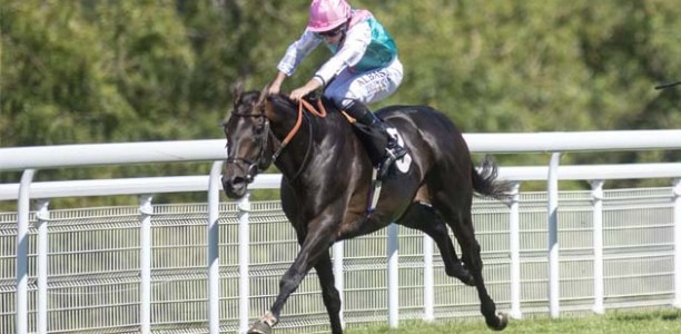 Mirage Dancer on track for 2019 Melbourne Cup