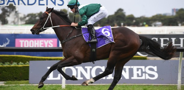 Exceedance primed for G1 Coolmore Stud Stakes