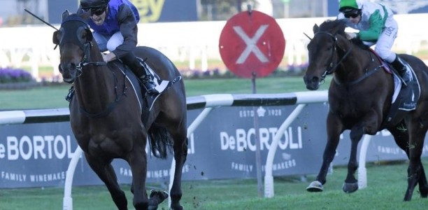 Field of 16 for Group One Victoria Derby