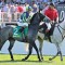 Hotham Handicap to decide Neufbosc’s Melbourne Cup start