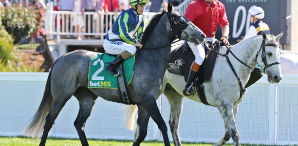 Hotham Handicap to decide Neufbosc’s Melbourne Cup start