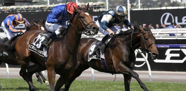 Two leading 2019 Melbourne Cup contenders out of race