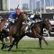 Connections to fight Melbourne Cup withdrawal