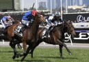 Legal action could be taken over Melbourne Cup scratching