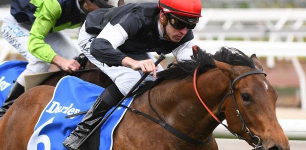 Maribyrnong Trial Stakes Field – 2019