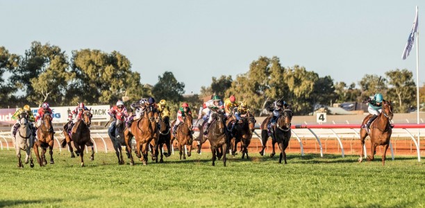 Tellem We’re Comin heads odds for Hannans Handicap