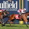 Freedman announces Caulfield Guineas, Thousand Guineas runners