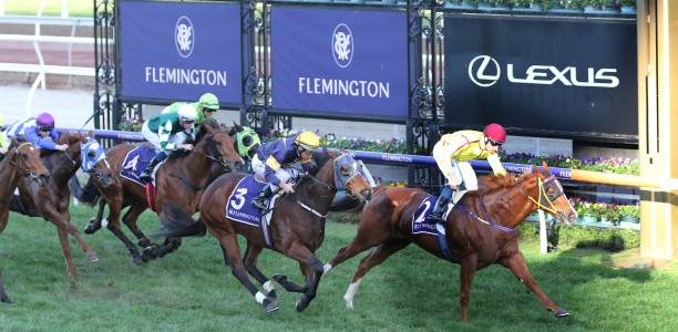 Straight course only meeting coming to Flemington