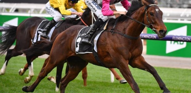Childs the Turnbull day Star of the Saddle