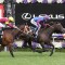 Spring Racing Carnival 2019 – A Look At The International Horses