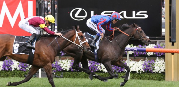 Spring Racing Carnival 2019 – A Look At The International Horses