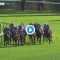 Watch: Enable in shock 2019 Prix de l’Arc de Triomphe defeat