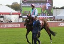 Prix de l’Arc de Triomphe Results and Replay: Enable defeated by Waldgeist