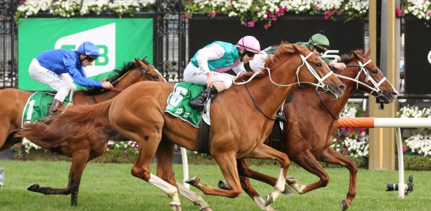 Cox Plate, Melbourne Cup bet could net punter $586,300