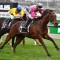 Surprise Baby given 1kg penalty for Cups