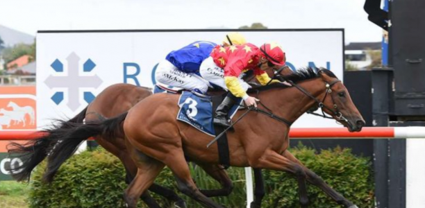 Madison County set to tackle the Toorak Handicap