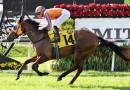 Champion NZ mare to bypass 2019 Cox Plate