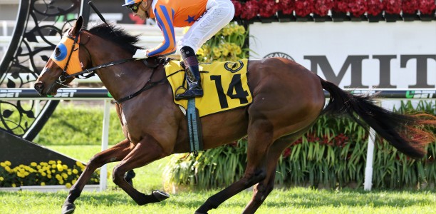 Champion NZ mare to bypass 2019 Cox Plate