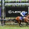 Microphone scratched from G1 Coolmore Stud Stakes