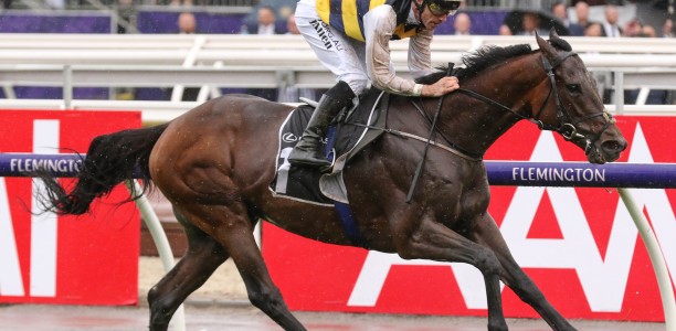 Downdraft ‘perfect’ ahead of Melbourne Cup