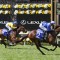 Lindsay Park strikes first blow on Melbourne Cup day