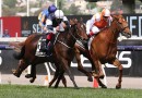 All-Australian Melbourne Cup win for Vow And Declare