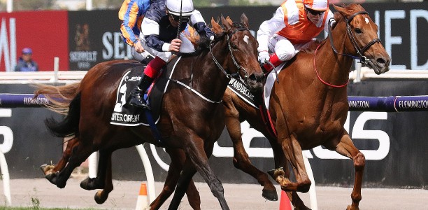 All-Australian Melbourne Cup win for Vow And Declare