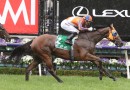 Star NZ mare heads the odds for the G1 Mackinnon Stakes