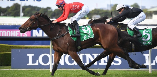 Reelem In Ruby heads odds for the G2 Hot Danish Stakes
