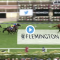 Twitter Trophy results and replay – 2019