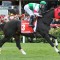 Kluger to bounce back in G1 Mackinnon Stakes