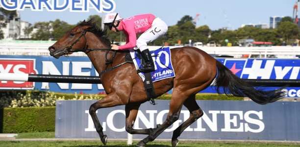 Clean sweep of features at Rosehill for Team Snowden
