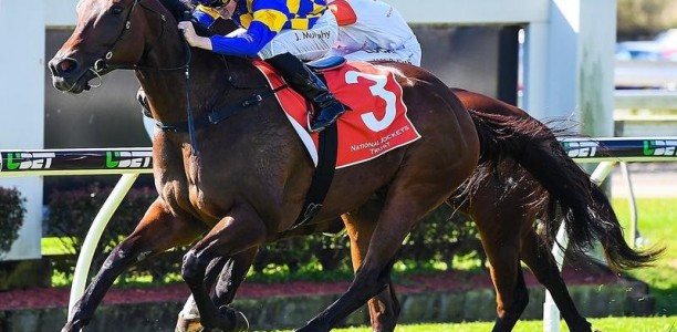 Farm life suits Tarzan ahead of Caloundra