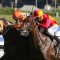 G1 winner could return at Sandown after long break