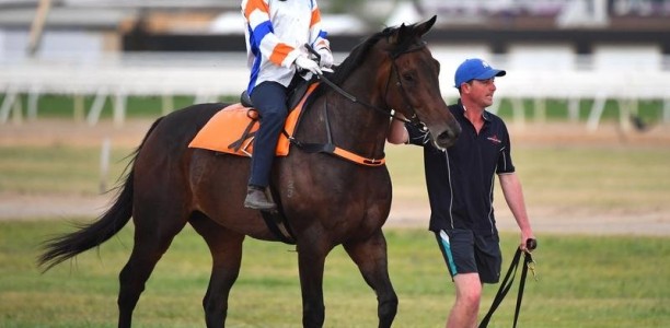 Hey Doc to make race return at Sandown