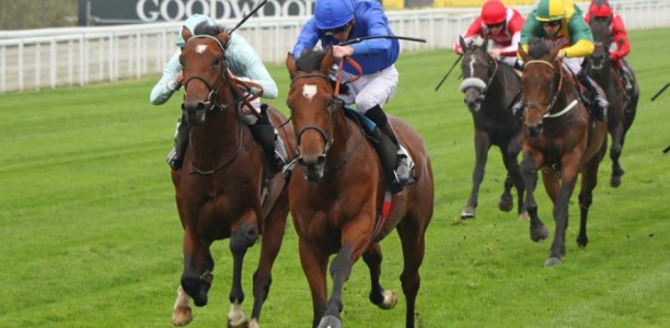 Godolphin import short odds for Eclipse Stakes