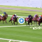 Sandown Guineas results and replay – 2019
