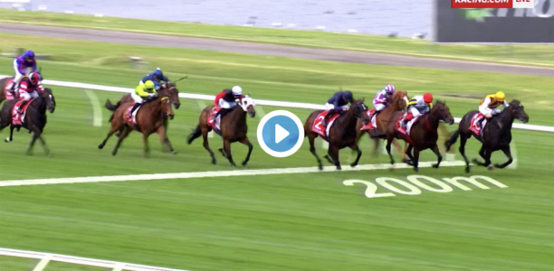 Sandown Guineas results and replay – 2019