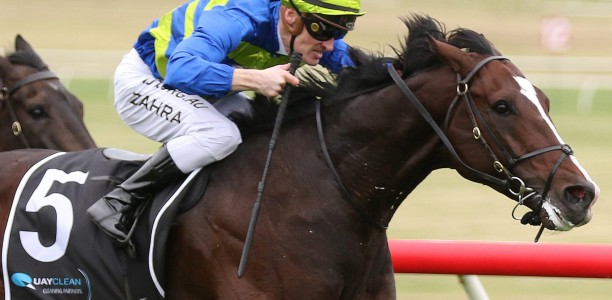 Southern France takes out the Zipping Classic