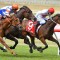 Hey Doc on target for G1 Winterbottom