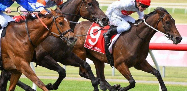 Hey Doc on target for G1 Winterbottom