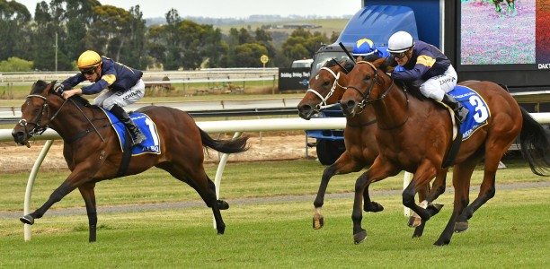 Magic Millions Clockwise Classic nominations – 2019