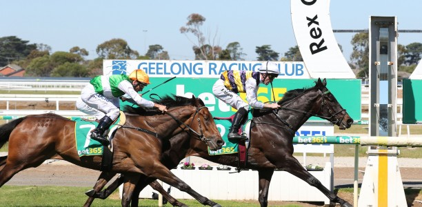 Harbour Views could miss a spot in Ballarat Cup Field