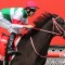 Cox Plate winner set to retire